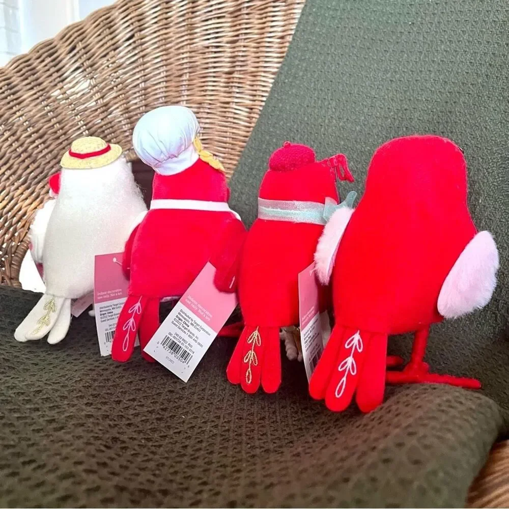 Target Spritz Feathery Friends 2023 Valentine’s Day Birds Set of 4 - NWT